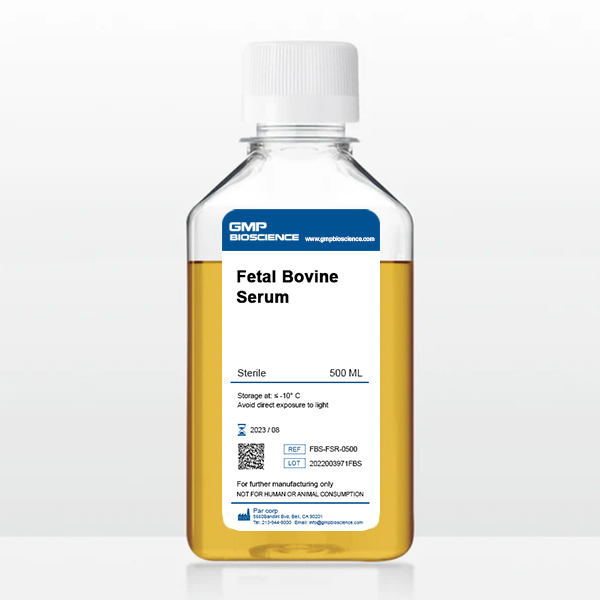 Fetal Bovine Serum (FBS)