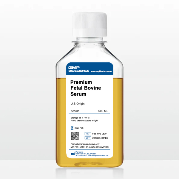 Premium Fetal Bovine Serum