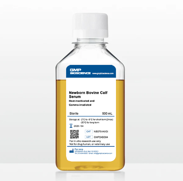 Newborn Bovine Calf Serum Heat-inactivated and Gamma-irradiated