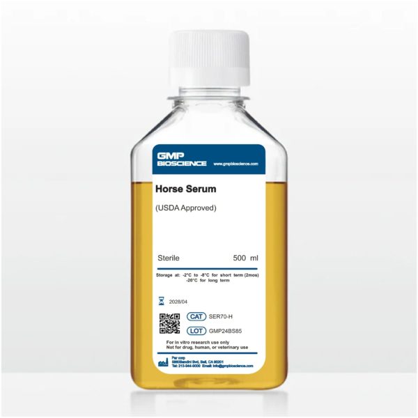 Fetal Horse Serum (FHS) premium